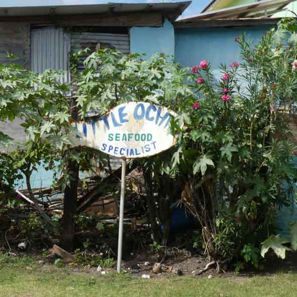 Zu sehen ist eine Blumenhecke im Hintergrund im Vordergrund das Firmenschild in Form eines Fisches mit der Beschriftung "Little Ochi"